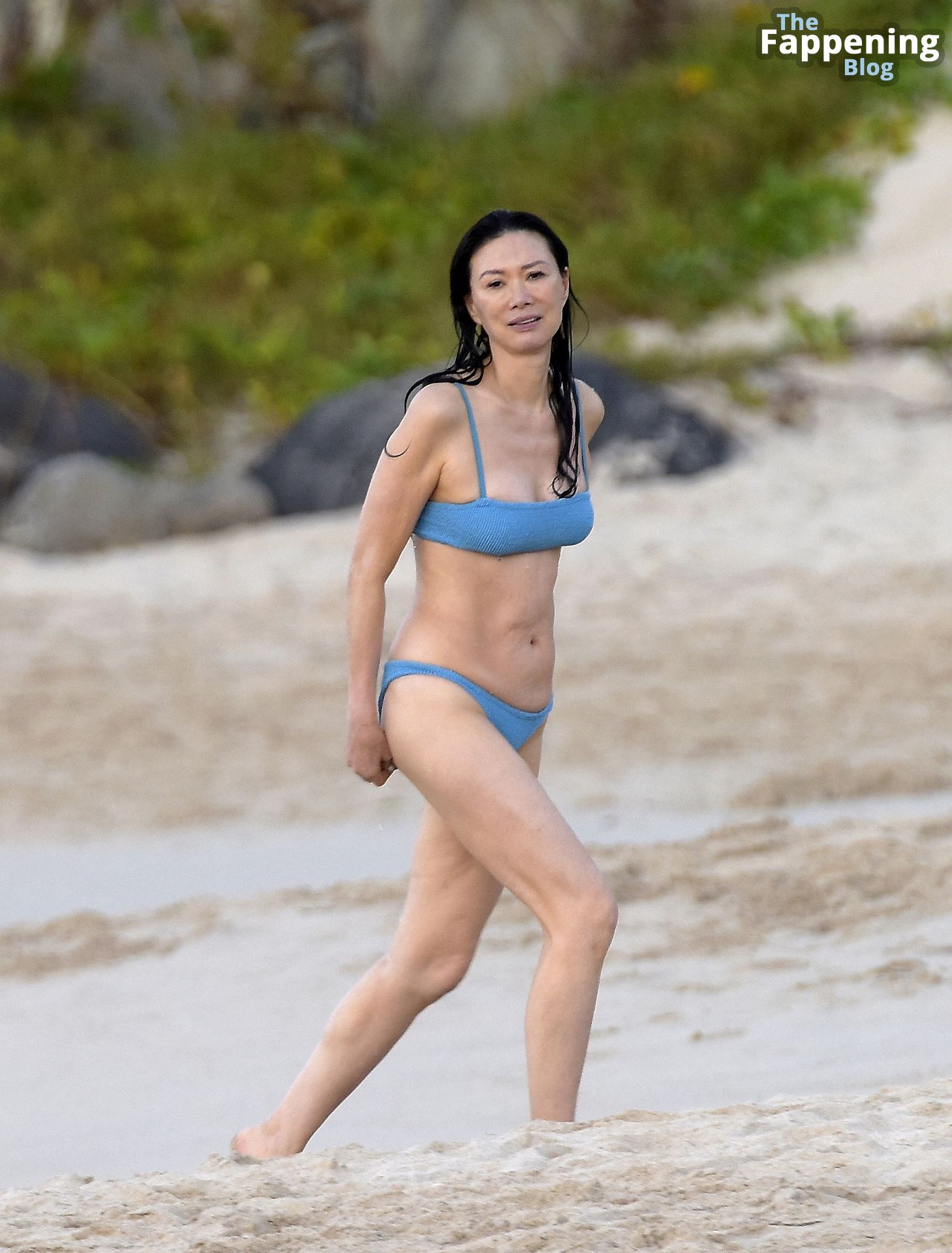 Wendi Deng Murdoch Shows Off Her Sexy Bikini Body as She Hits the Beach in St Barts (38 Photos)