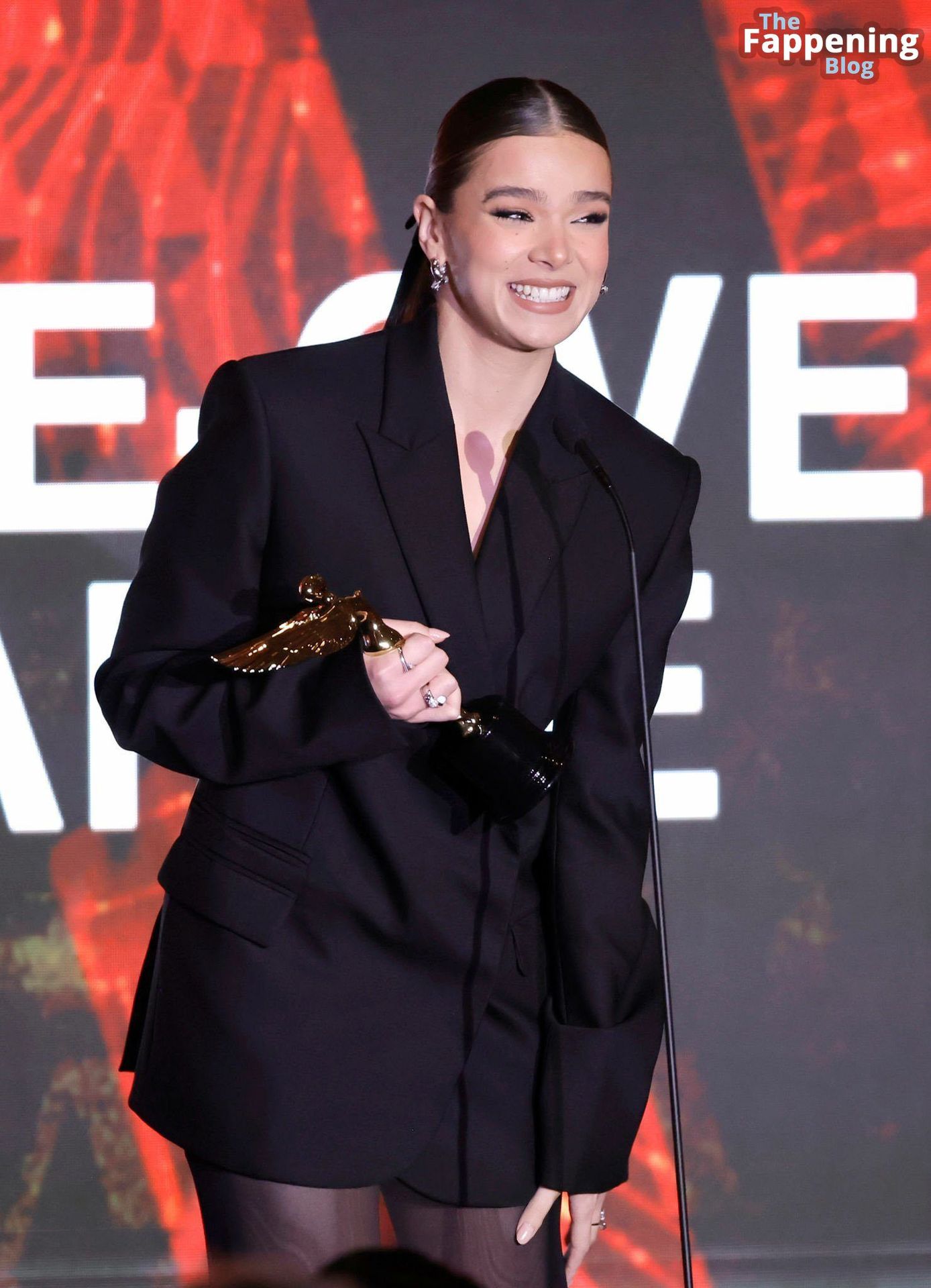 Hailee-Steinfeld-Black-Outfit-Astra-Film-Awards-6-thefappeningblog.com_.jpg