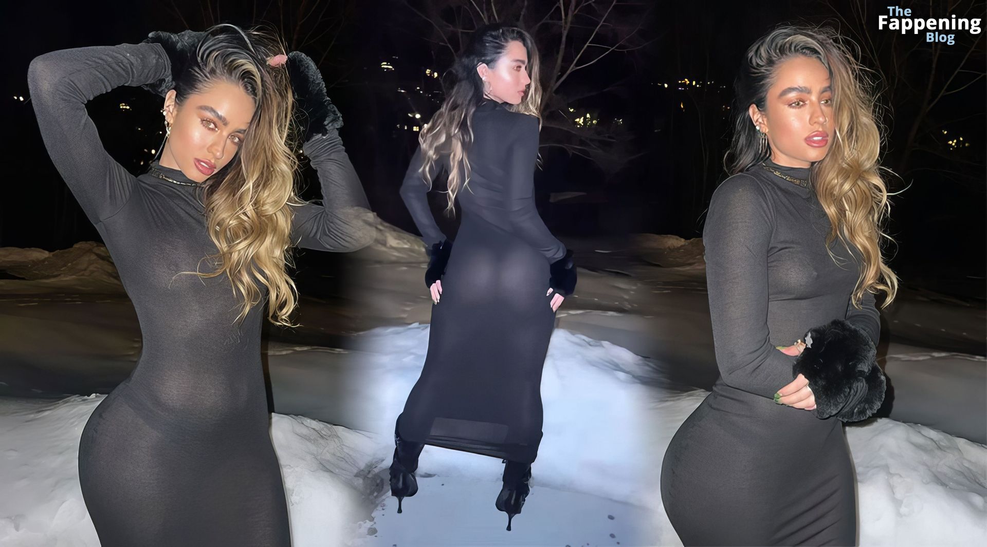 Sommer Ray Poses Braless in a Sheer Dress (7 Photos)