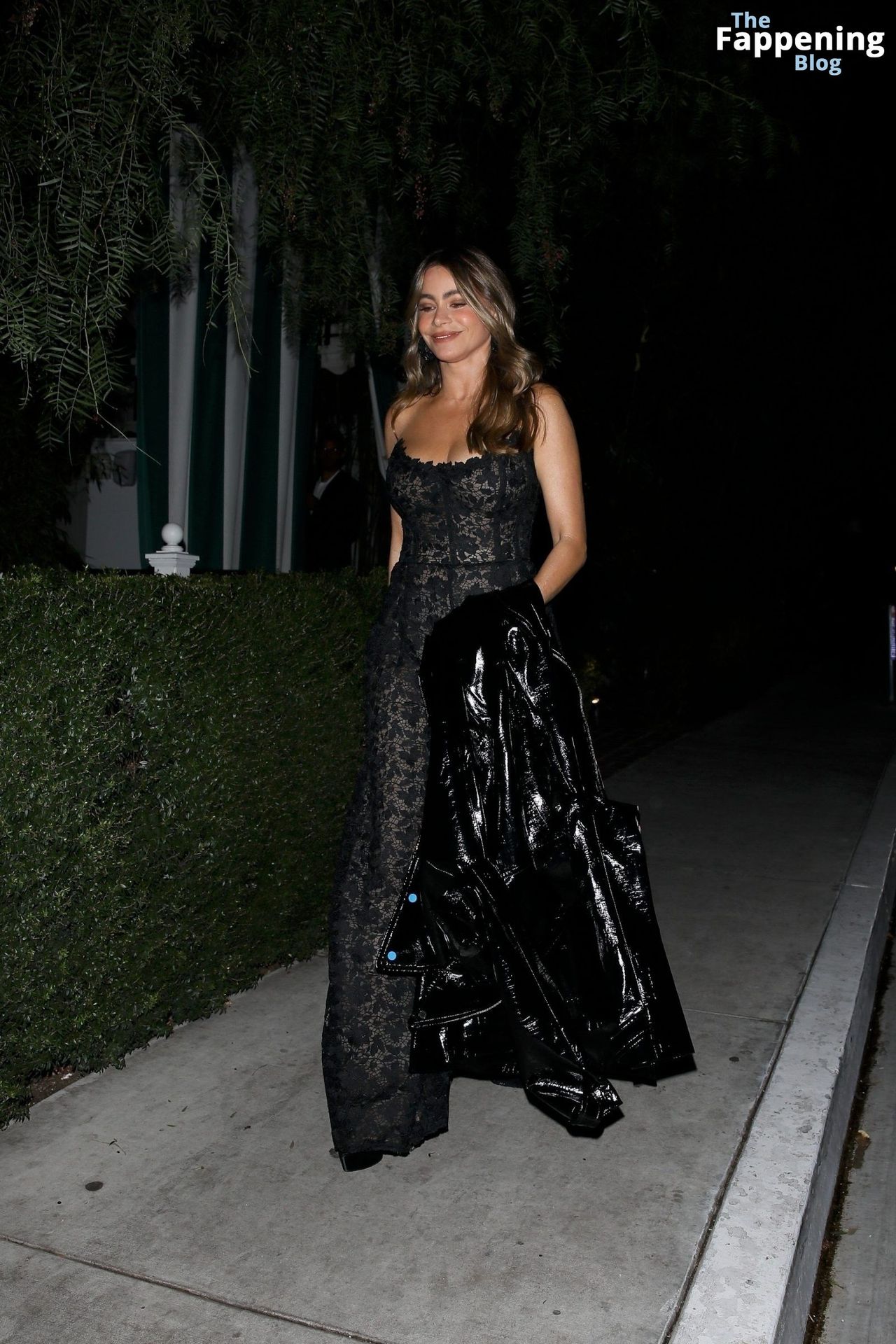Sofia Vergara Displays Her Sexy Assets as She Attends a Party in West Hollywood (32 Photos)
