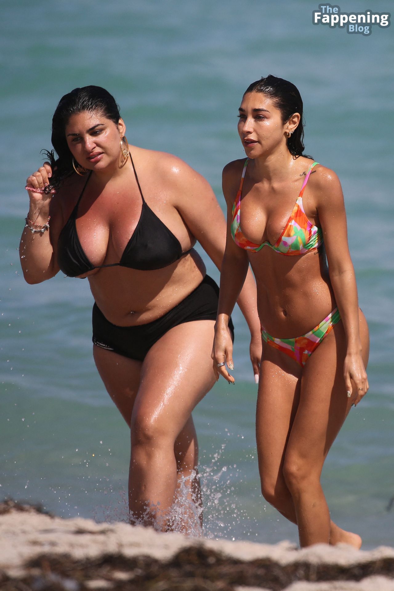 Chantel Jeffries Shows Off Her Sexy Bikini Body on the Beach (22 Photos)
