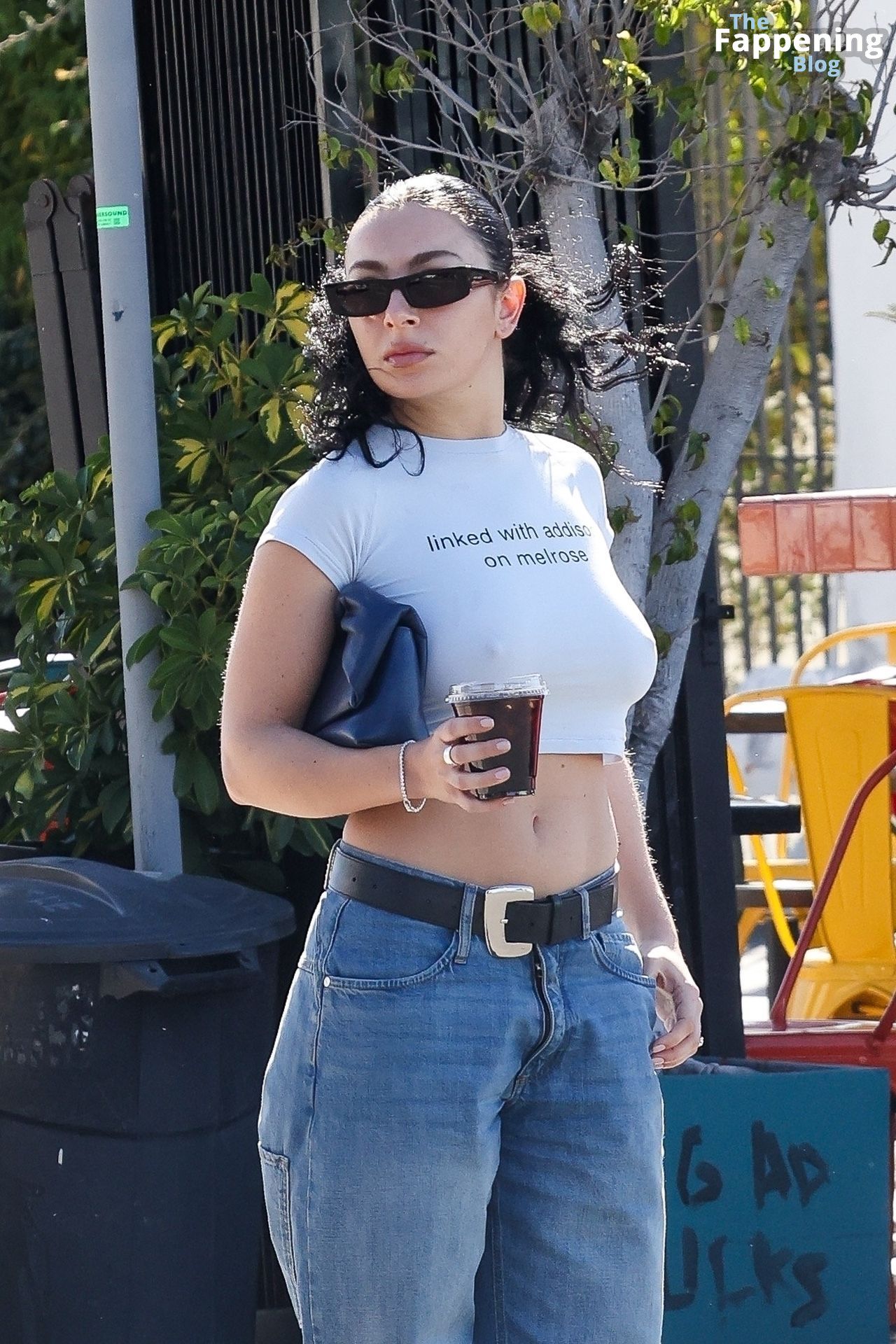 Charli XCX Displays Her Sexy Boobs in Los Feliz (30 Photos)