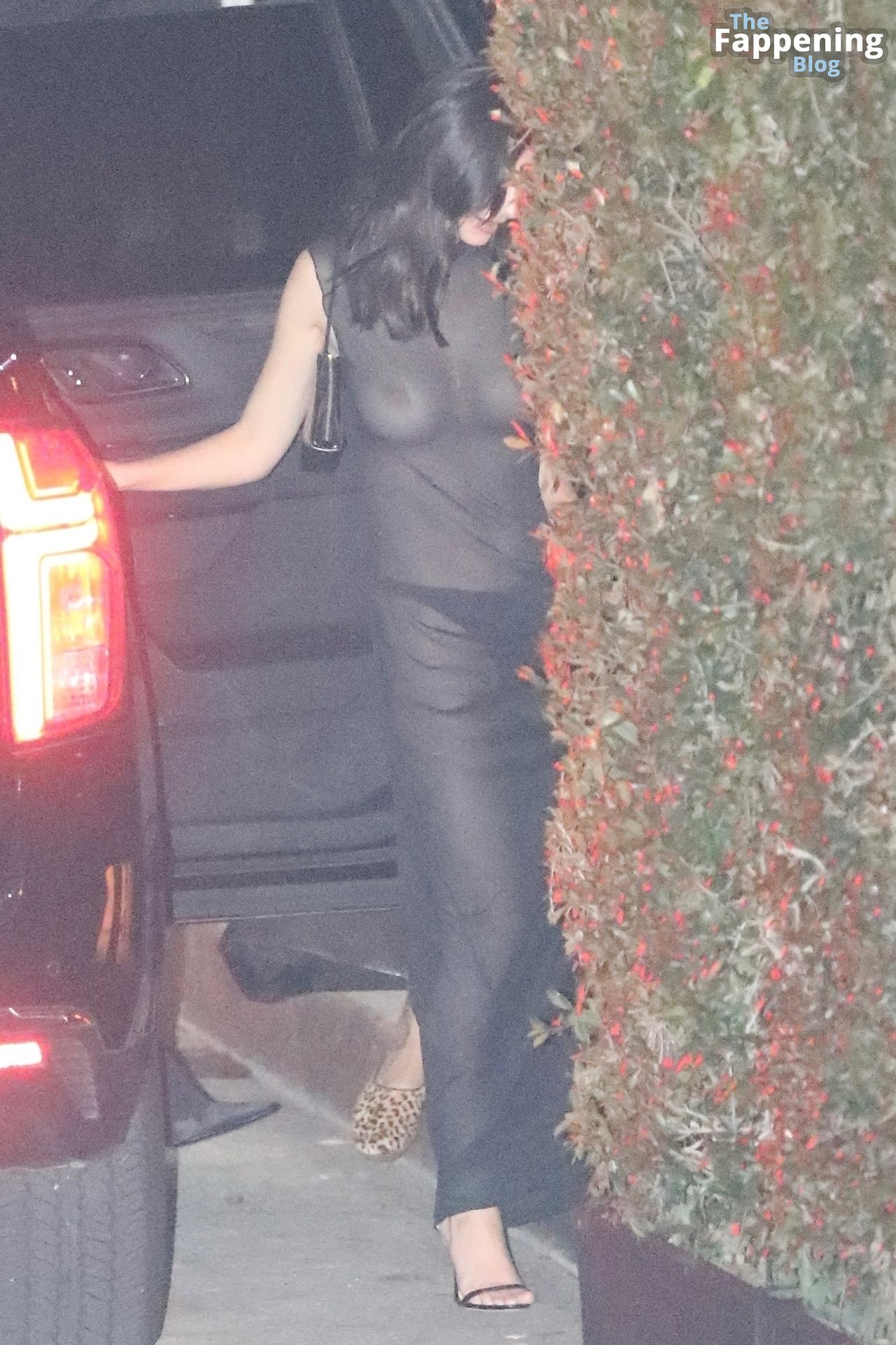 Emily Ratajkowski Shows Off Her Nude Boobs as She Attends Jay-Z and Beyoncé’s Post-Oscar Party (8 Photos)