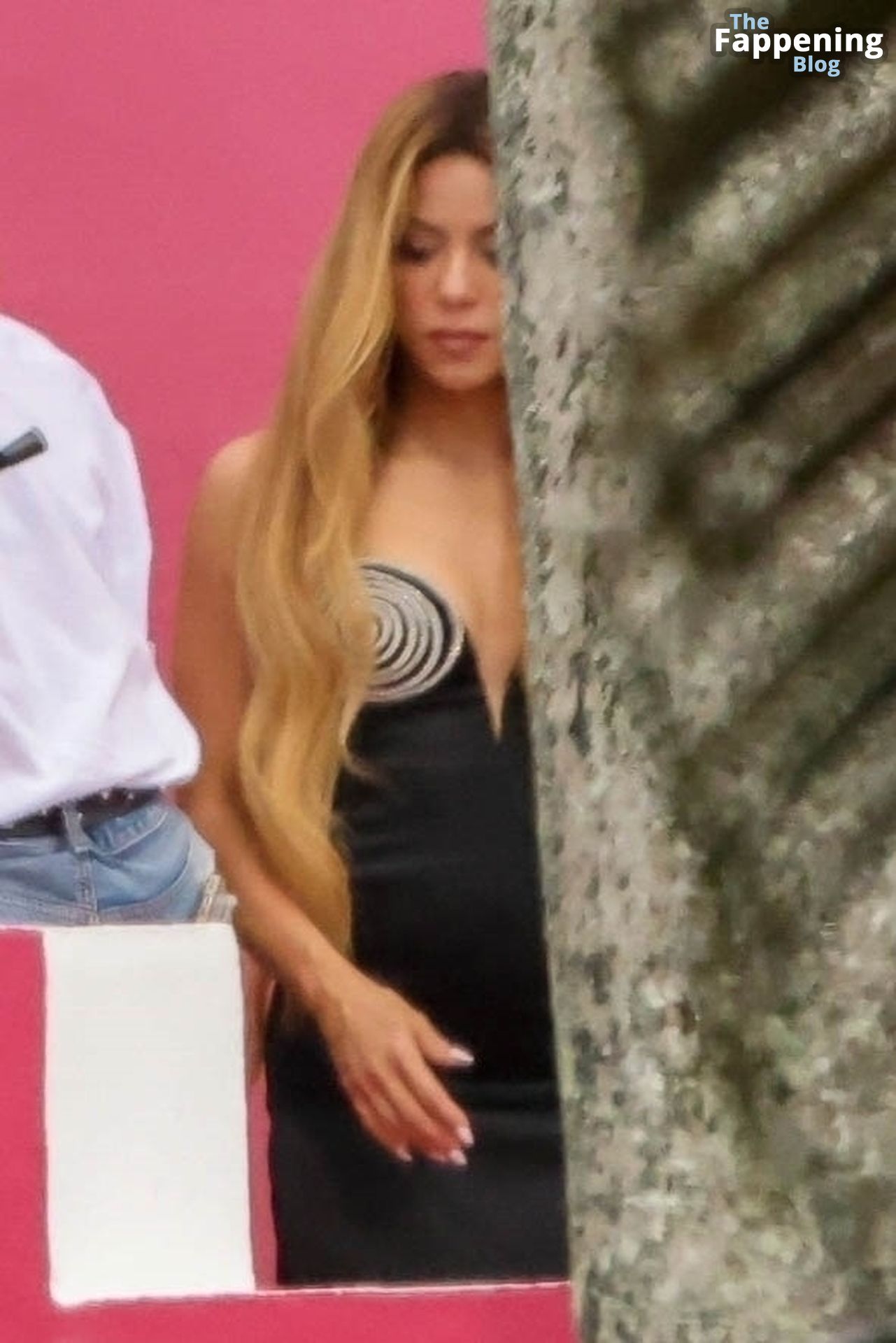 Shakira-Sexy-8-The-Fappening-Blog.jpg