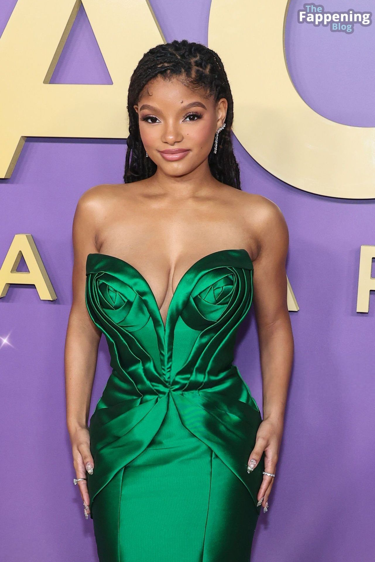 Halle Bailey Displays Her Sexy Boobs at the 55th NAACP Image Awards (62 Photos)