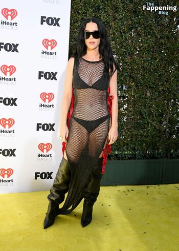 Katy Perry / katyperry Nude Leaks OnlyFans Photo 7013