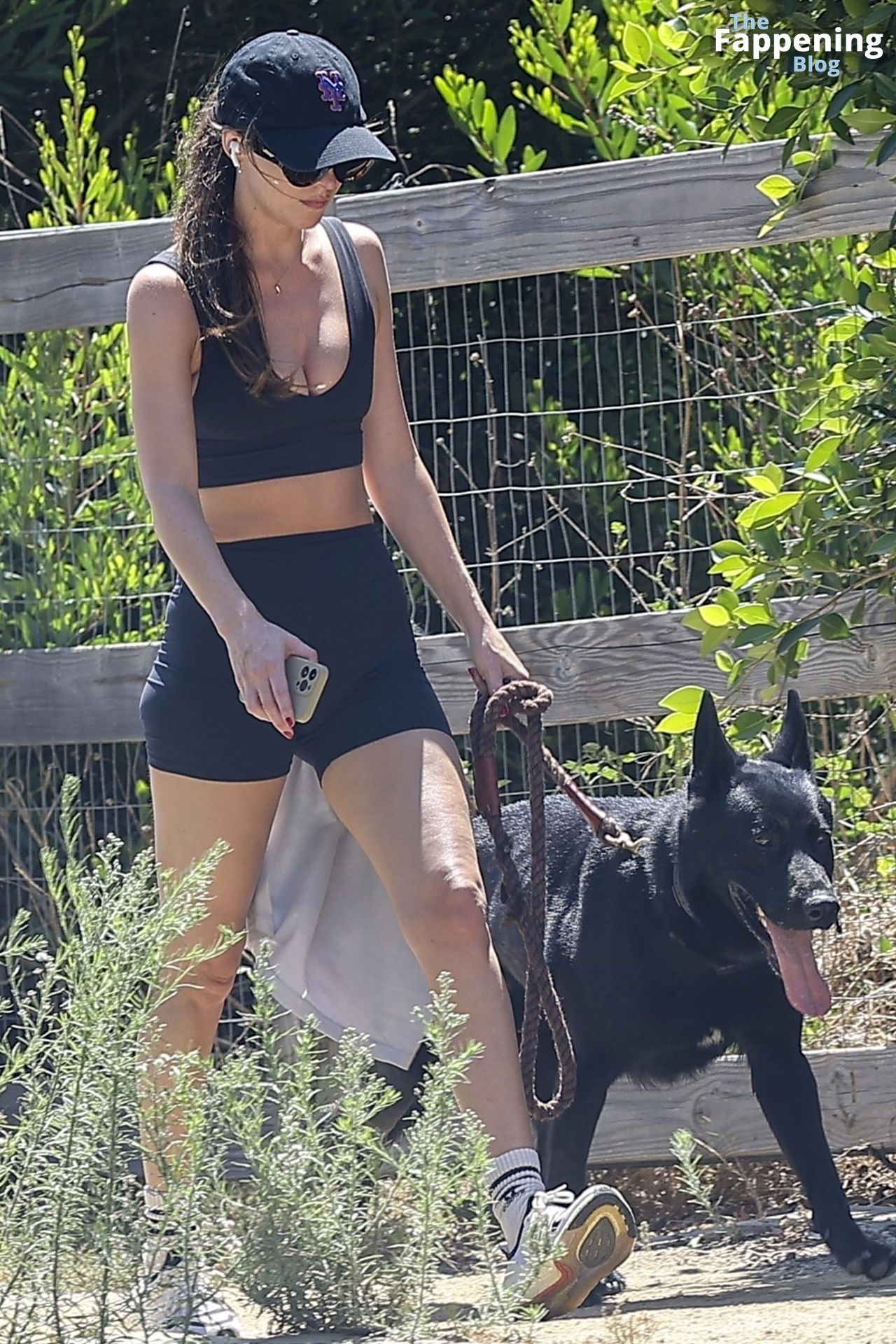 Dakota Johnson Is Spotted Without Engagement Ring During a Hike with Her Dog in Malibu (47 Photos)