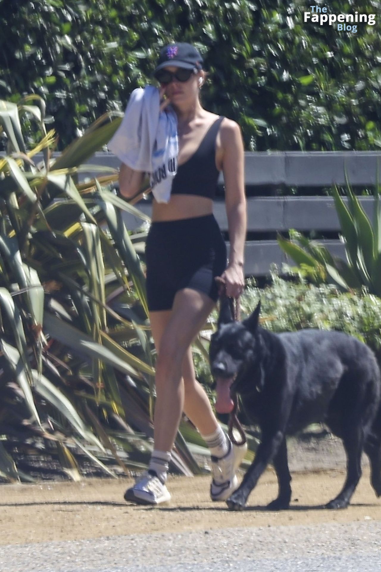 Dakota Johnson Is Spotted Without Engagement Ring During a Hike with Her Dog in Malibu (47 Photos)