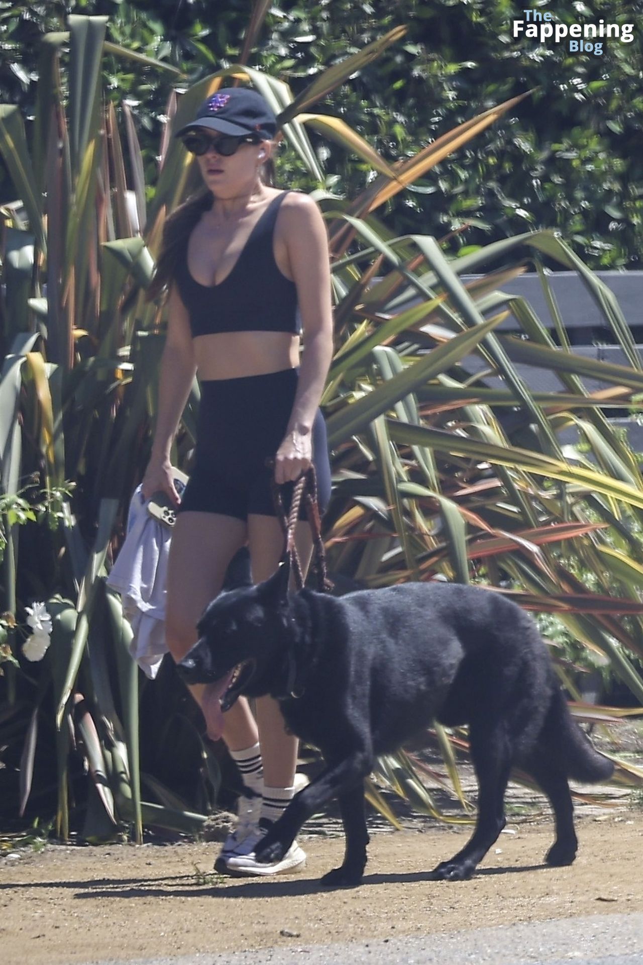 Dakota Johnson Is Spotted Without Engagement Ring During a Hike with Her Dog in Malibu (47 Photos)