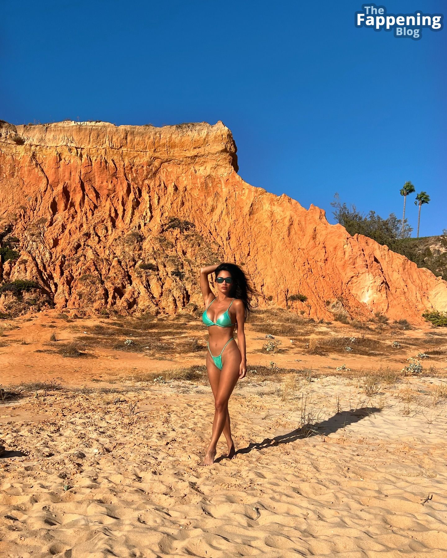 Nicole Scherzinger Hot (8 New Photos)