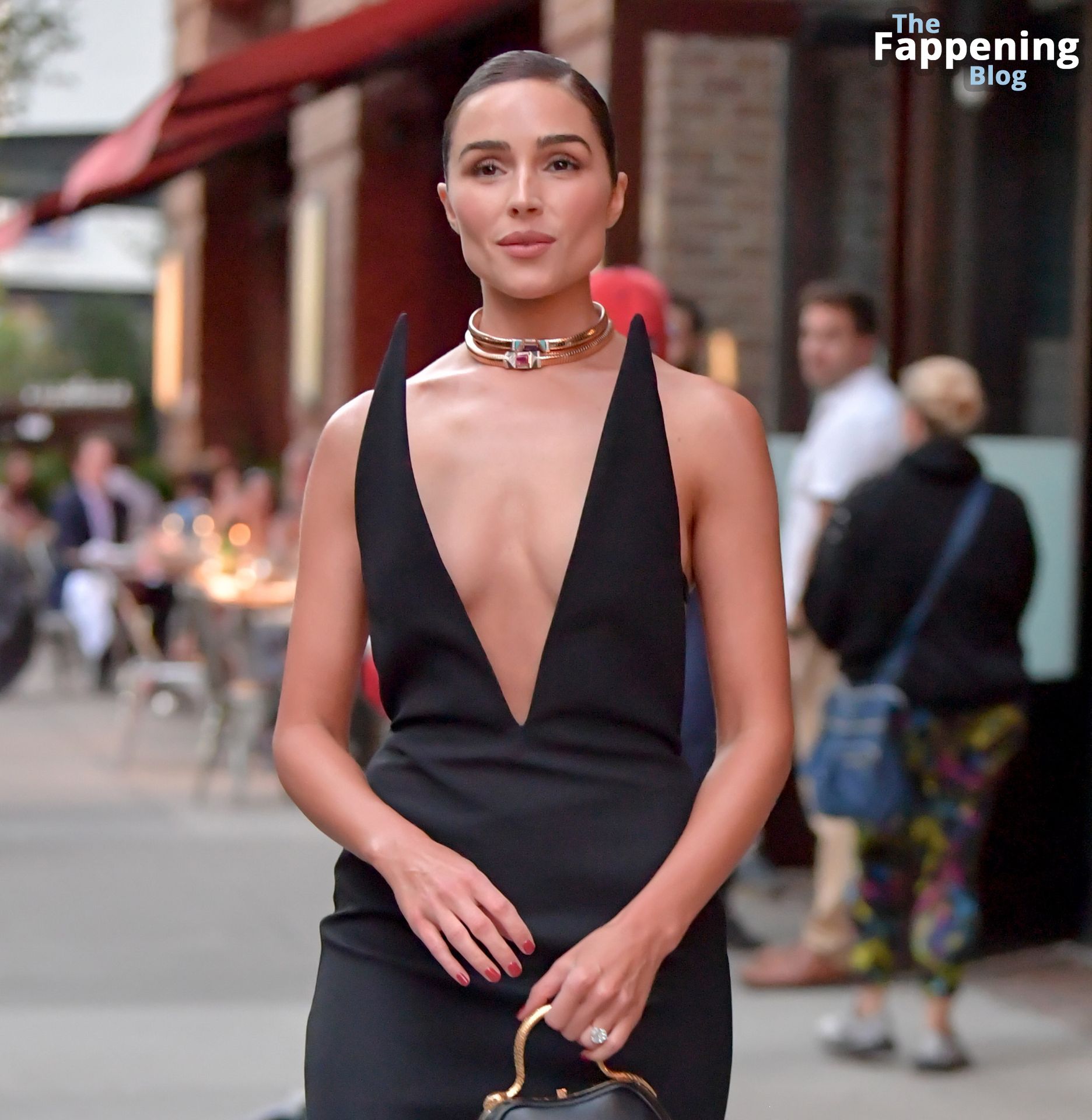 Olivia Culpo Goes Braless in New York City (59 Photos)