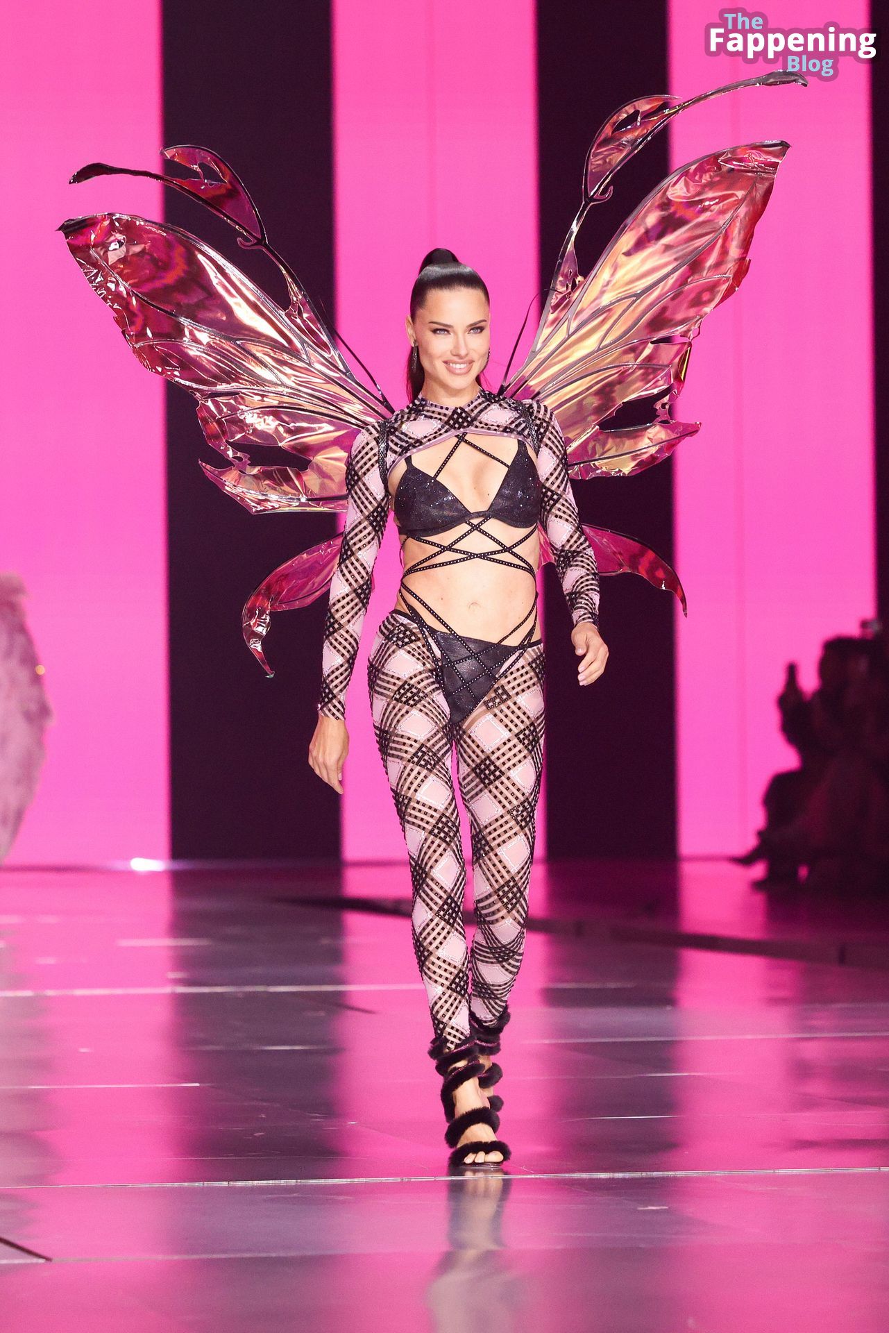 Adriana Lima Stuns at the Victoria’s Secret Fashion Show (80 New Photos)