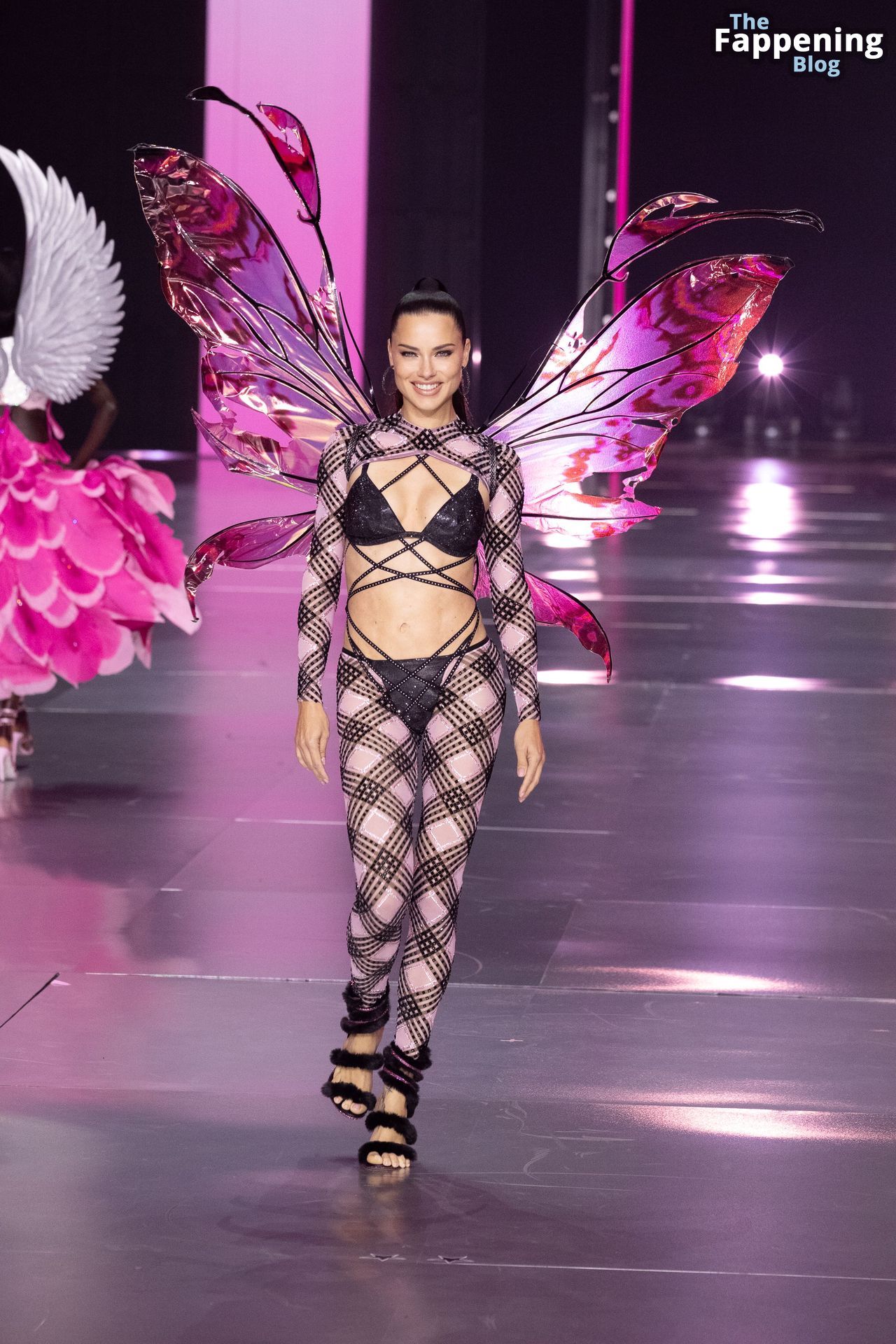 Adriana Lima Stuns at the Victoria’s Secret Fashion Show (80 New Photos)