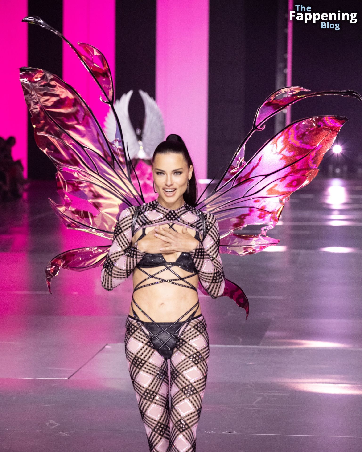 Adriana Lima Stuns at the Victoria’s Secret Fashion Show (80 New Photos)