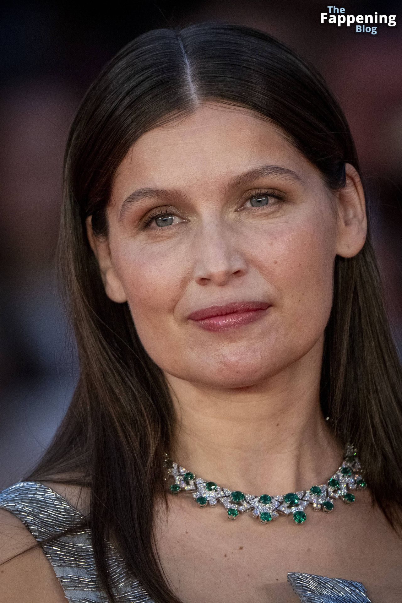 Laetitia Casta Looks Sexy at the 9th Rome Film Festival (179 Photos)