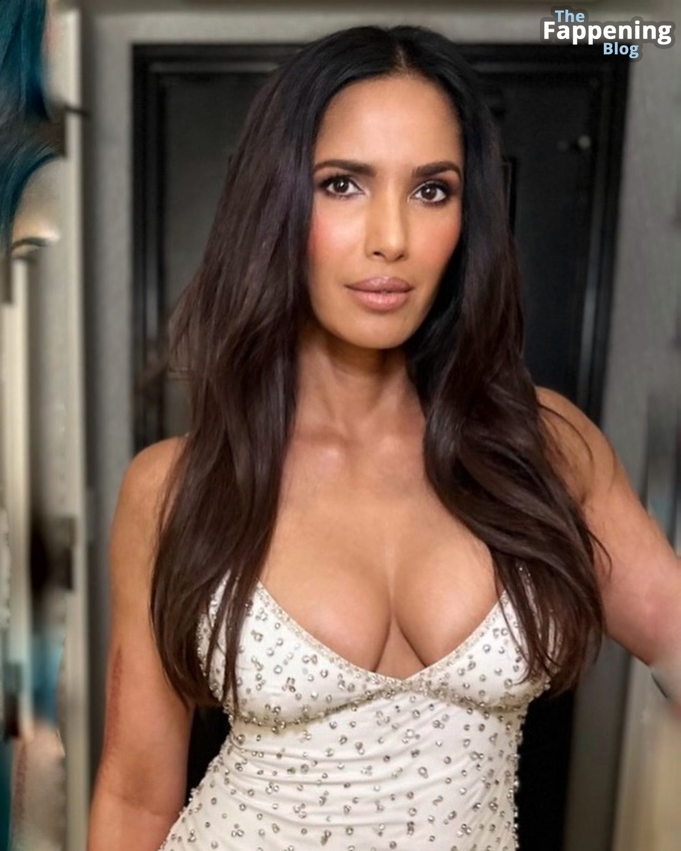 Padma Lakshmi Sexy (6 Photos)