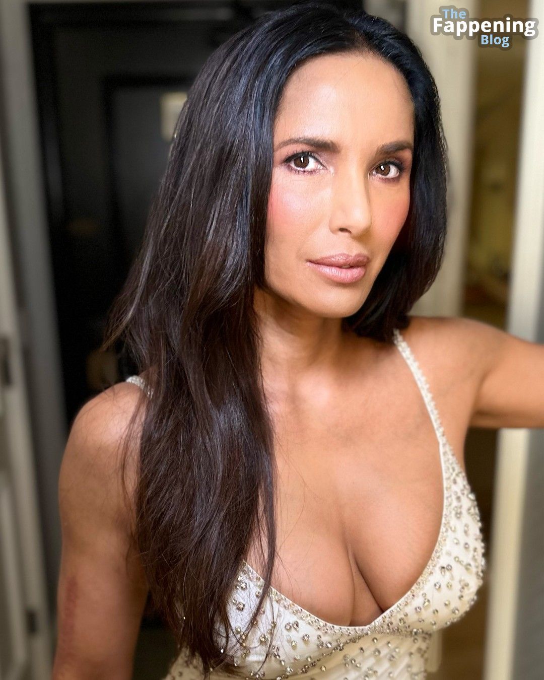 Padma Lakshmi Sexy (6 Photos)