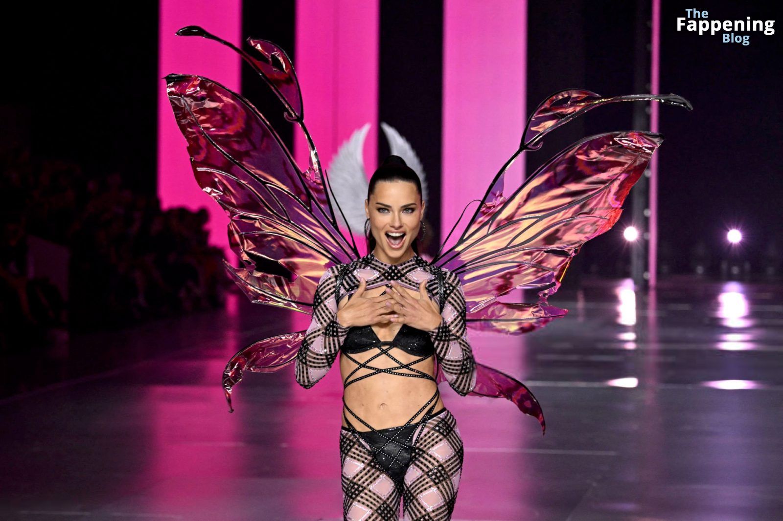 Adriana Lima Stuns at the Victoria’s Secret Fashion Show (80 New Photos)