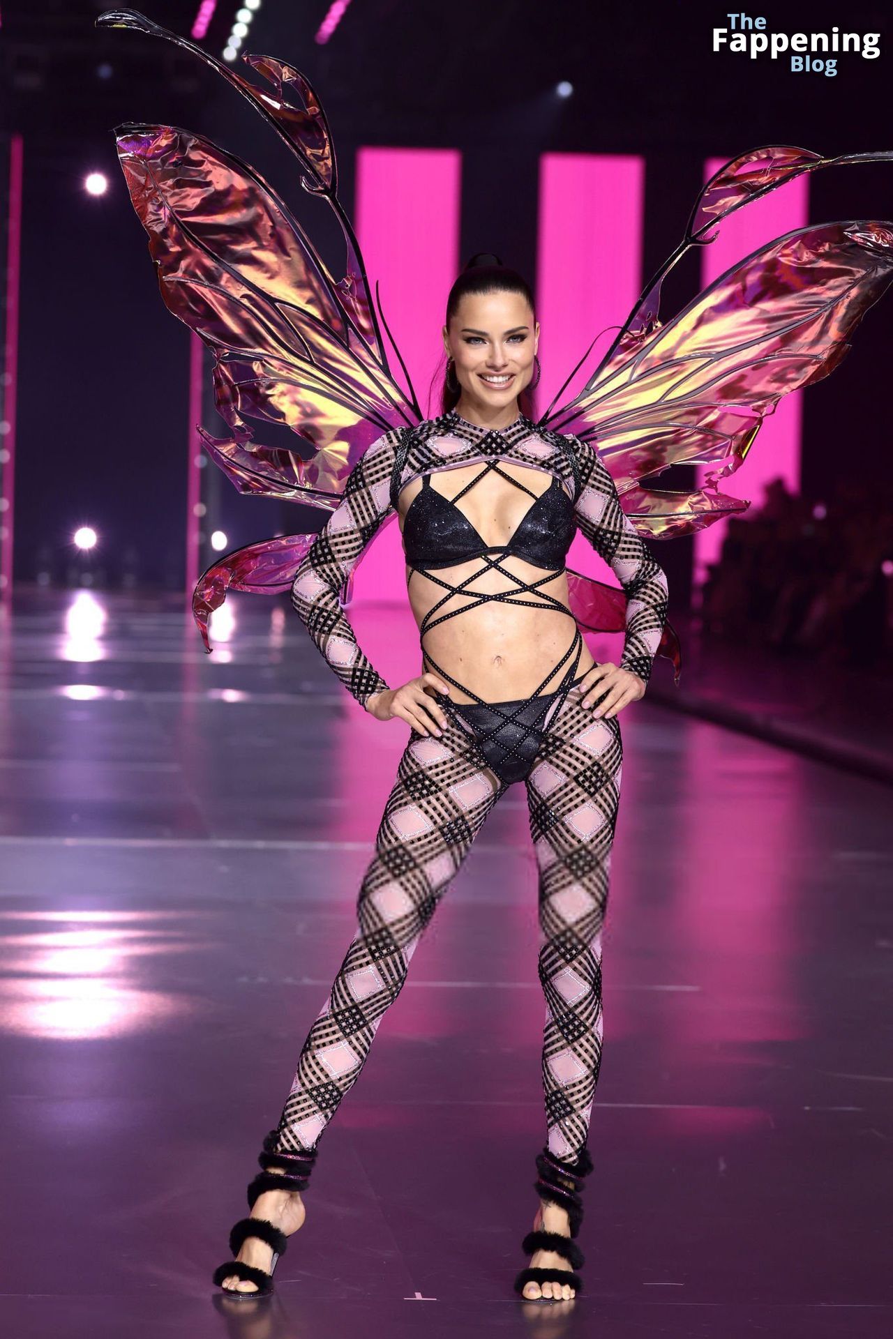 Adriana Lima Stuns at the Victoria’s Secret Fashion Show (80 New Photos)