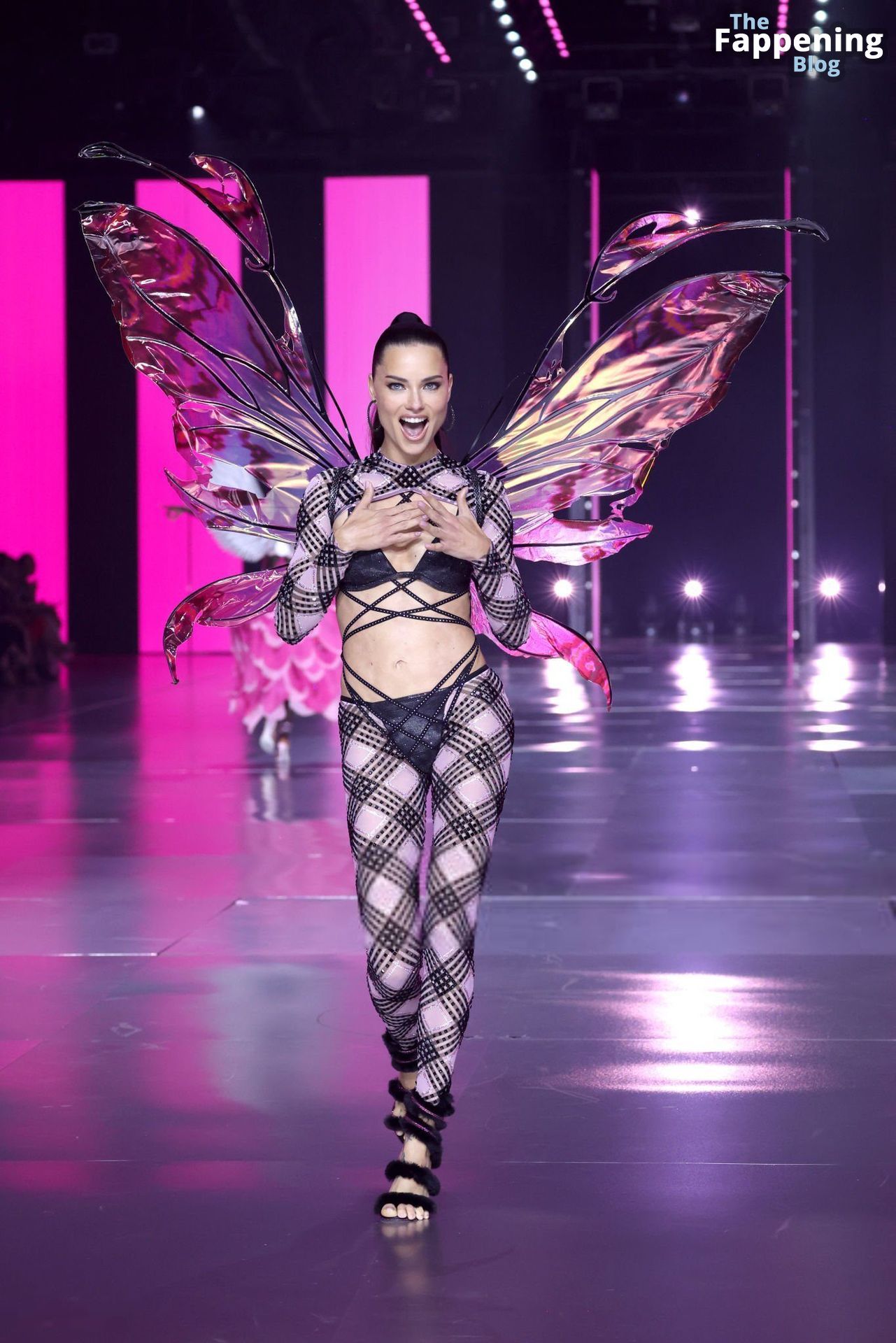 Adriana Lima Stuns at the Victoria’s Secret Fashion Show (80 New Photos)