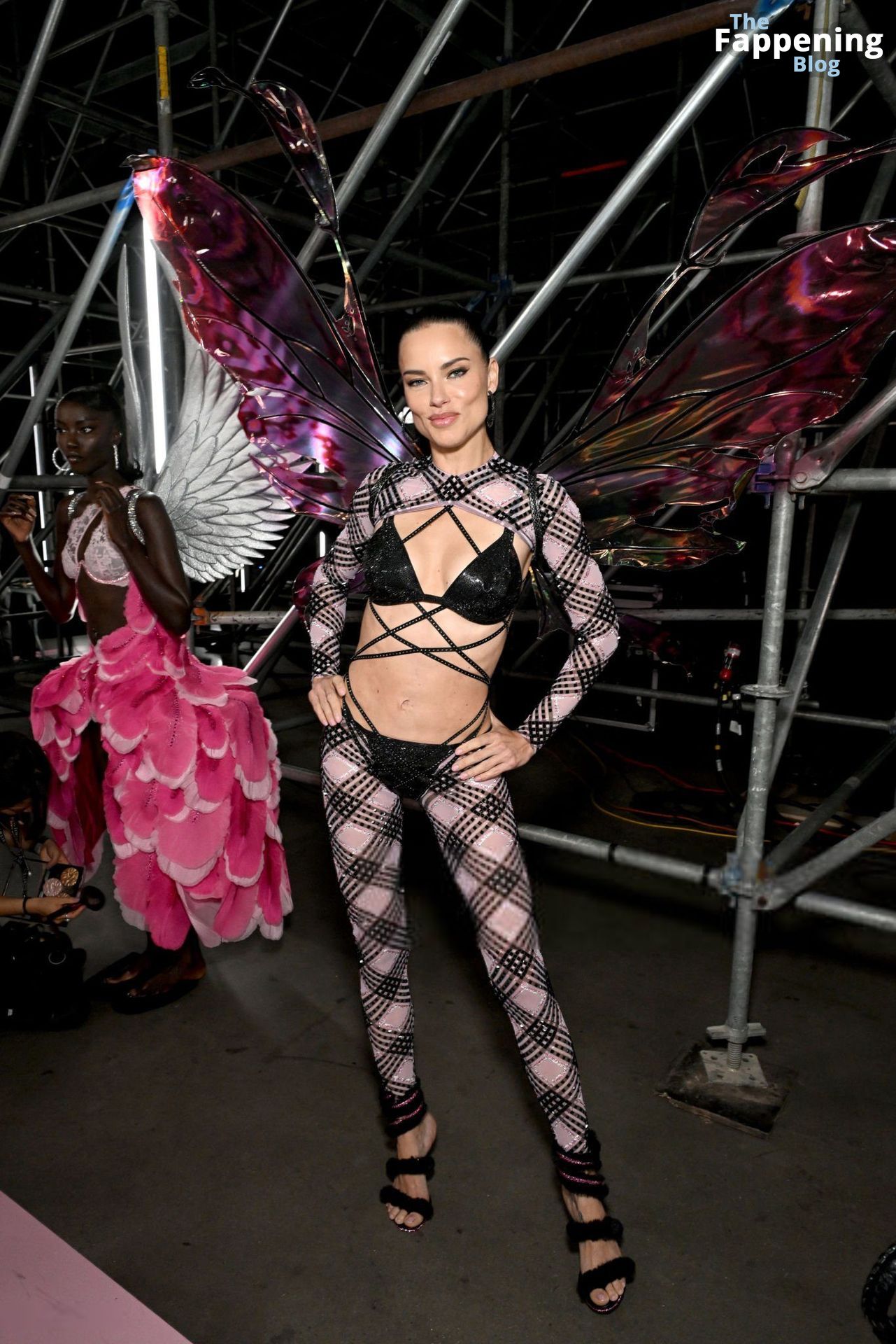 Adriana Lima Stuns at the Victoria’s Secret Fashion Show (80 New Photos)