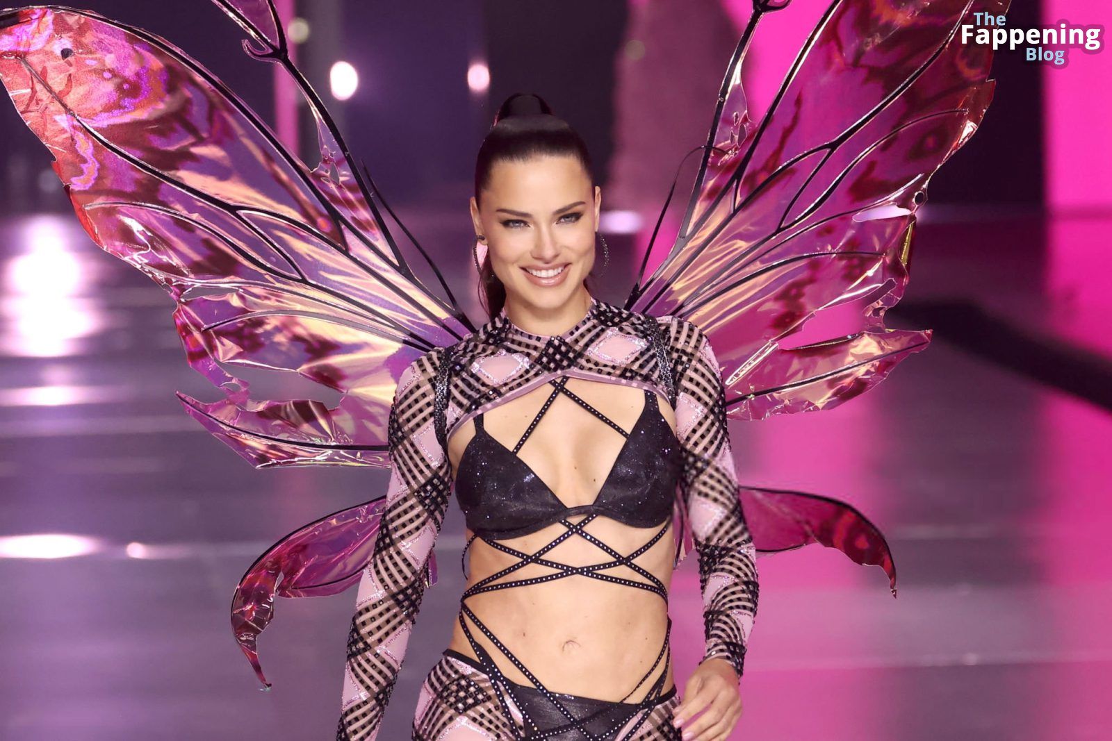 Adriana Lima Stuns at the Victoria’s Secret Fashion Show (80 New Photos)