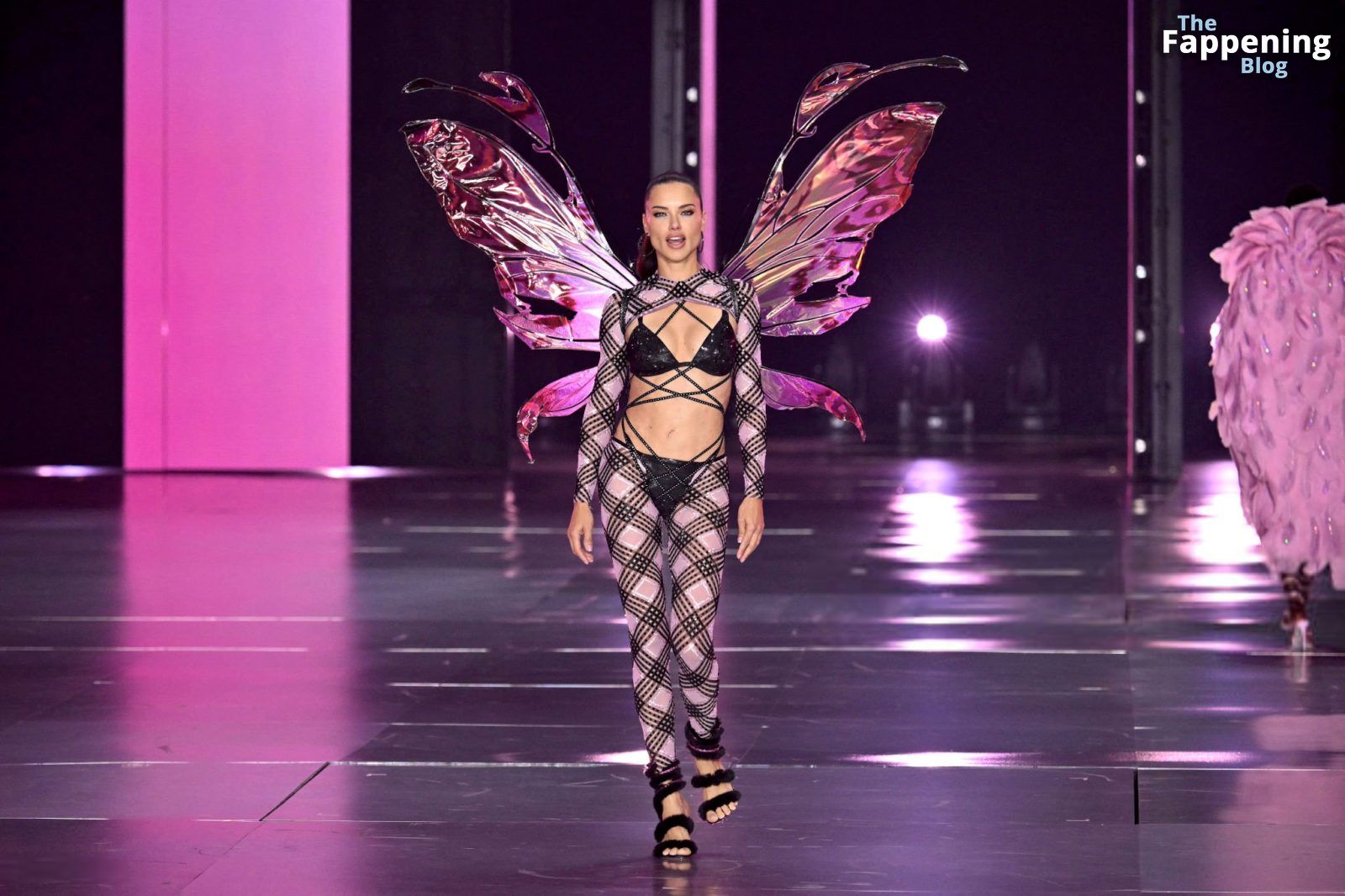 Adriana Lima Stuns at the Victoria’s Secret Fashion Show (80 New Photos)