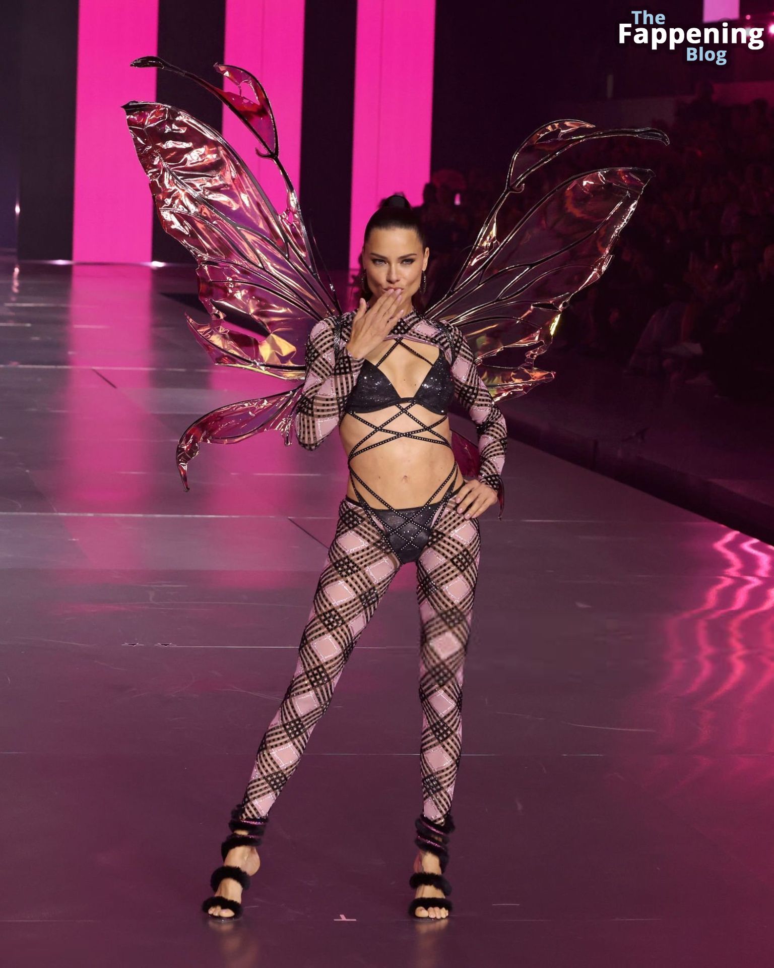 Adriana Lima Stuns at the Victoria’s Secret Fashion Show (80 New Photos)