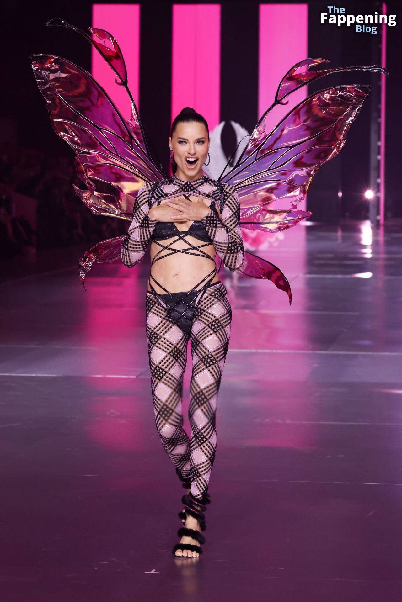 Adriana Lima Stuns at the Victoria’s Secret Fashion Show (80 New Photos)