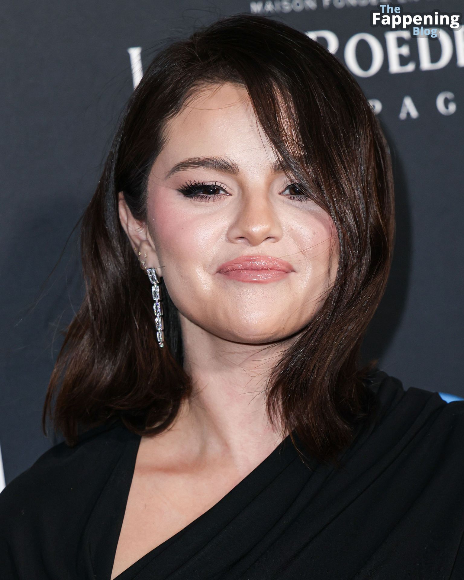 Selena Gomez Attends the “Emilia Perez” Premiere in LA (107 Photos)