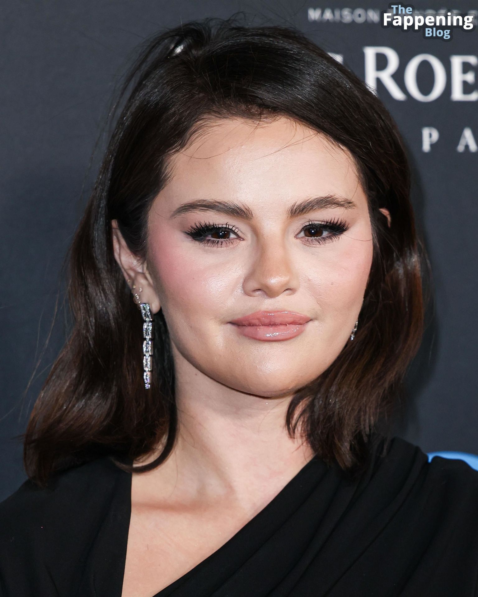 Selena Gomez Attends the “Emilia Perez” Premiere in LA (107 Photos)